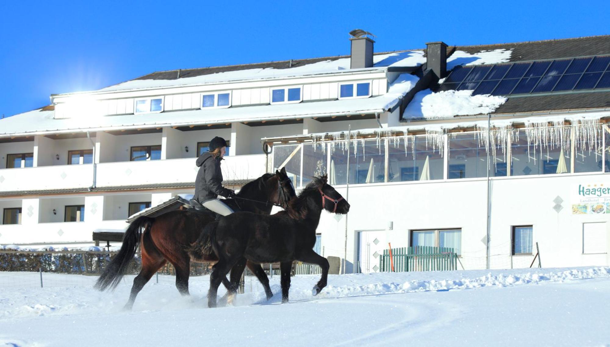 Landhotel Haagerhof Aigen im Mühlkreis Eksteriør billede